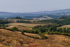 Crete Senesi .. Pinien