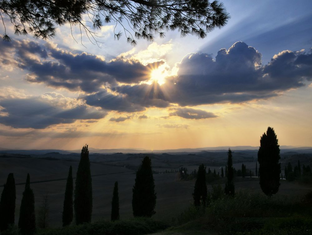 Crete senesi rays