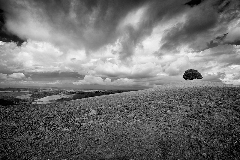 Crete Senesi V - Toskana, Italien, 2010