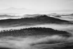 Crete Senesi VI, Toskana, Italien, 2010