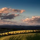 cretesenesi