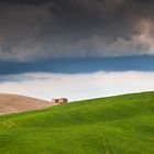 crete_senesi_in primavera