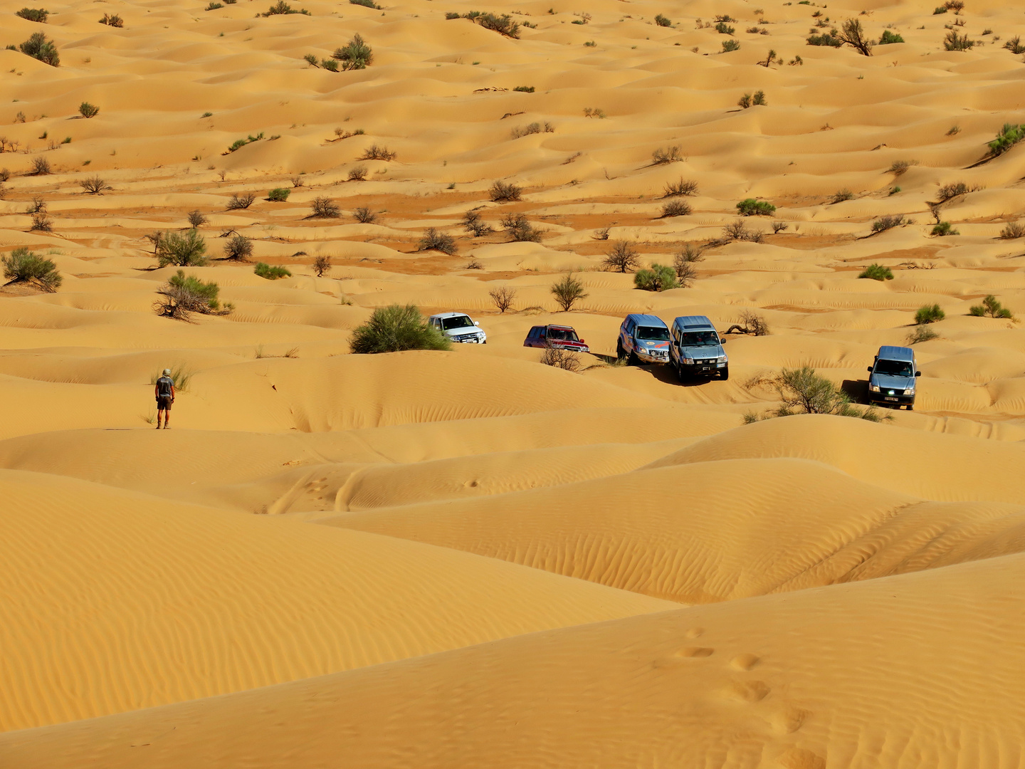 creuant el desert de Tunissia