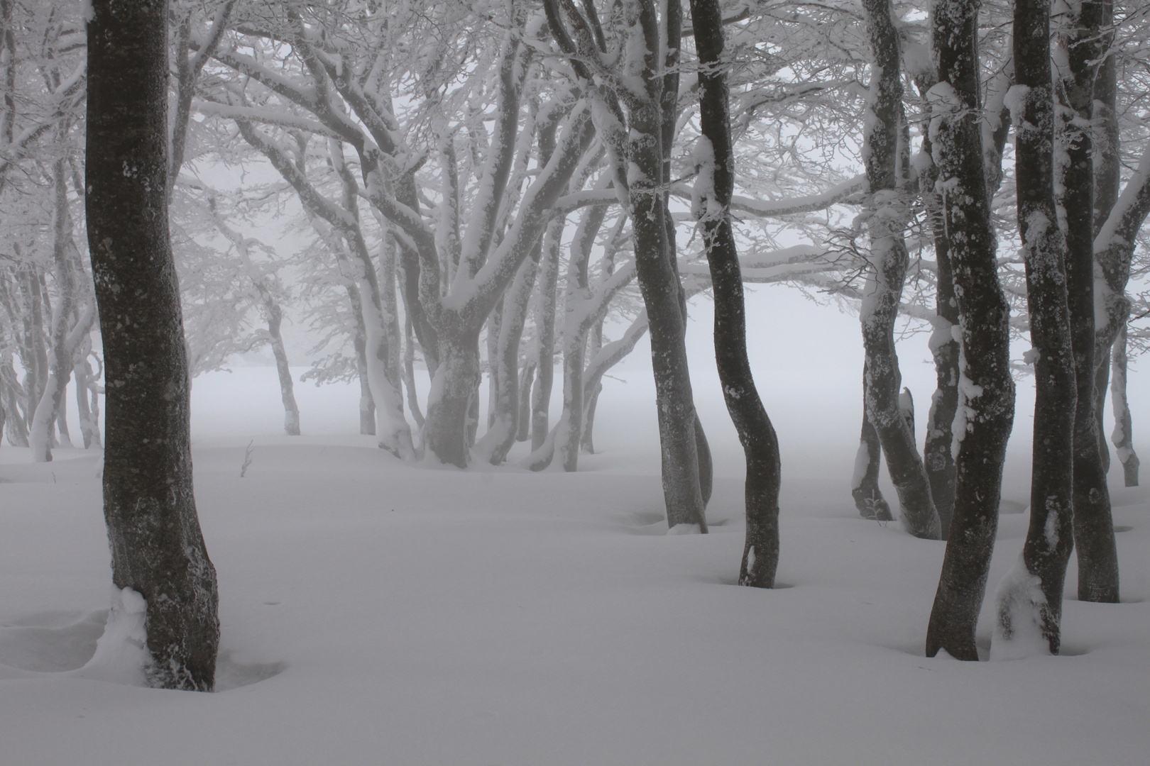 creux du vain - ein winter traum