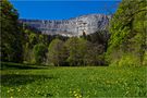 Creux du Van im Neuenburger Jura