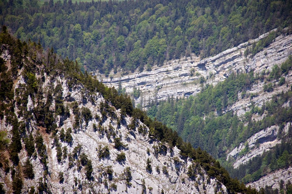 Creux du Van - Detail