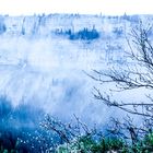 Creux du Van im Nebel