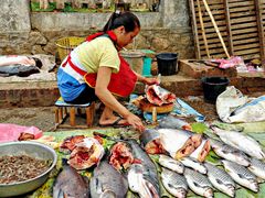 crevettes ou poissons d'eau douce