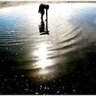 Creyó que el mar era el cielo.