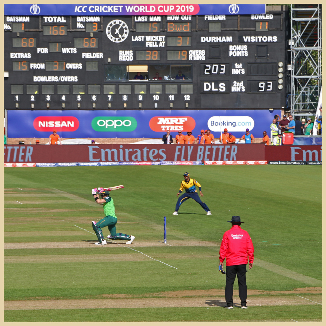 cricket at the riverside 6