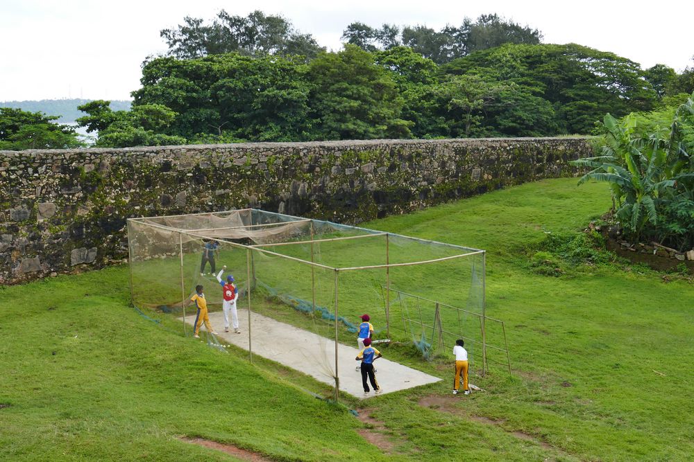 ...Cricket auf dem Wall in Galle...