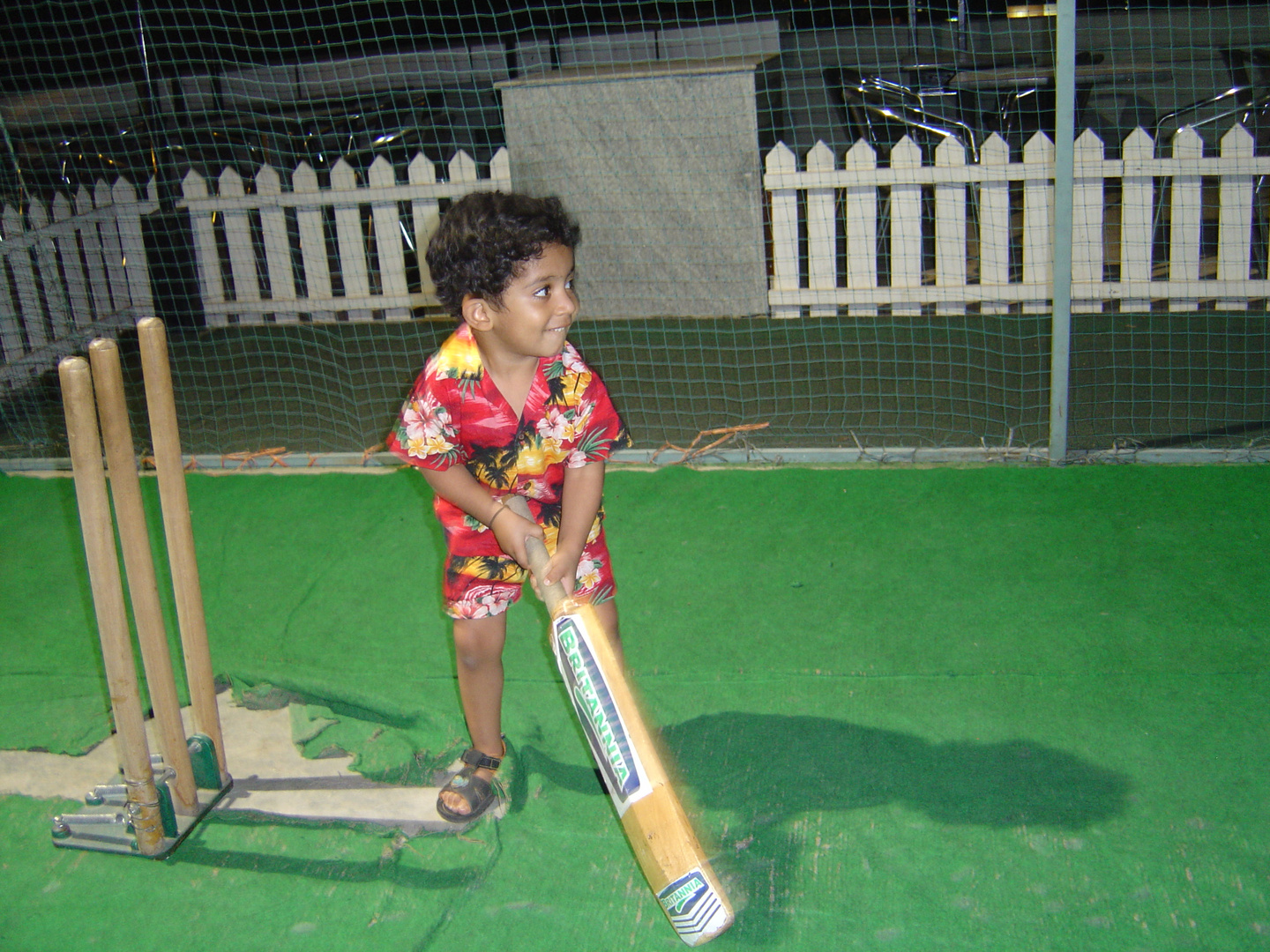 Cricket Boy