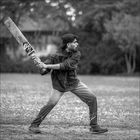 Cricket