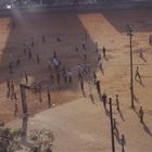 Cricket in Indien