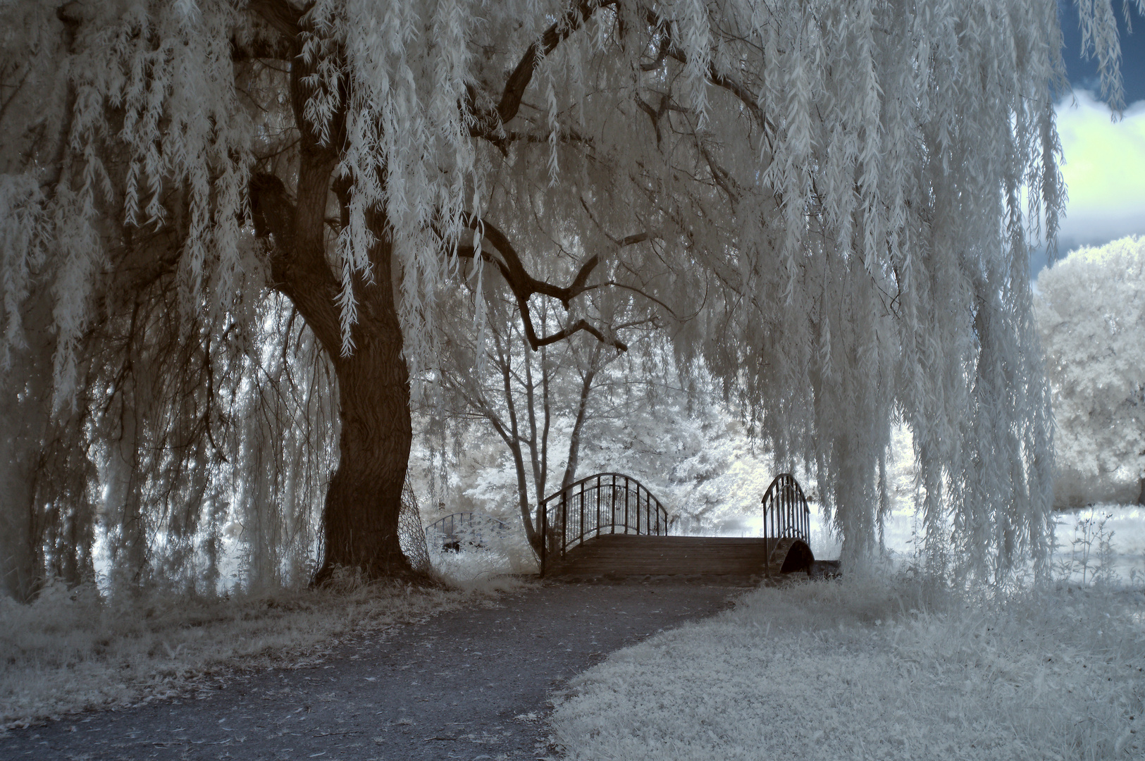 Criewen (Uckermark)