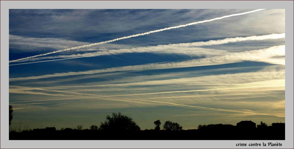 crime contre la Planète