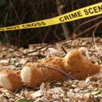 CRIME SCENE - DO NOT CROSS