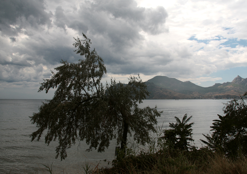 Crimea: after rain