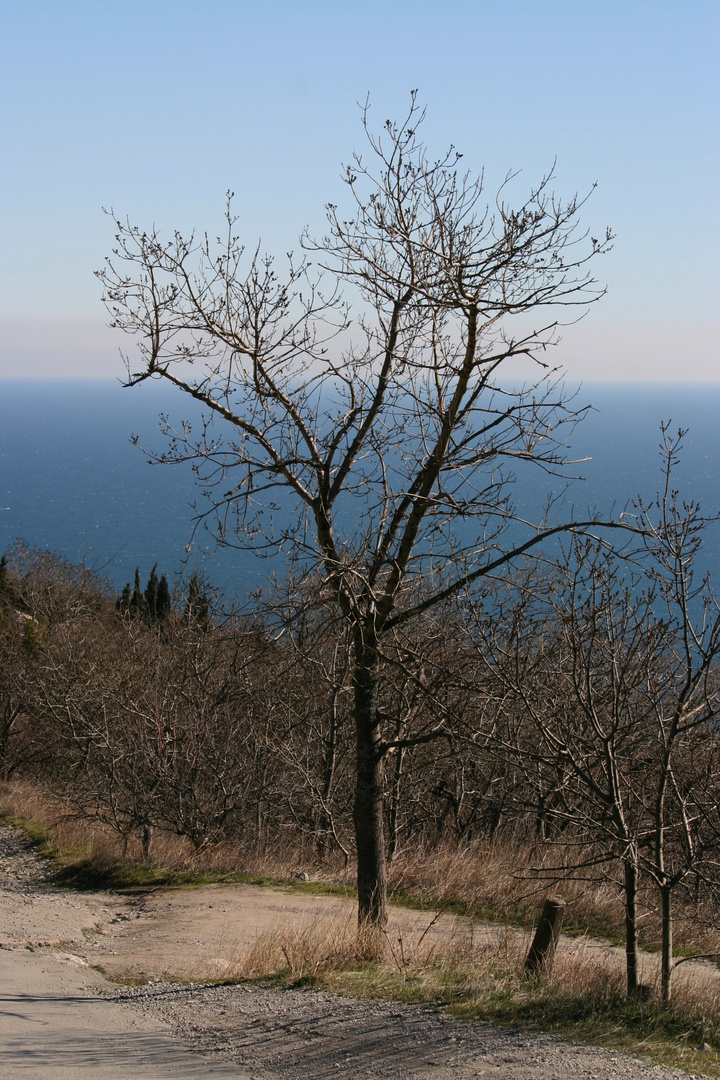 Crimea_10