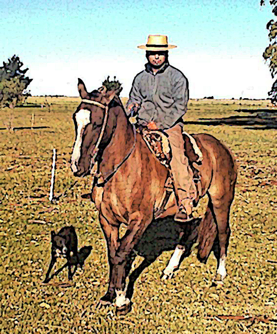 criollo y caballo criollo Argentina