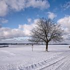 crisp and clear at -4,5°C