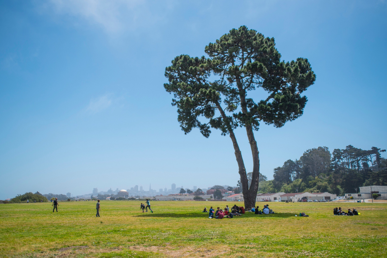 crissy field