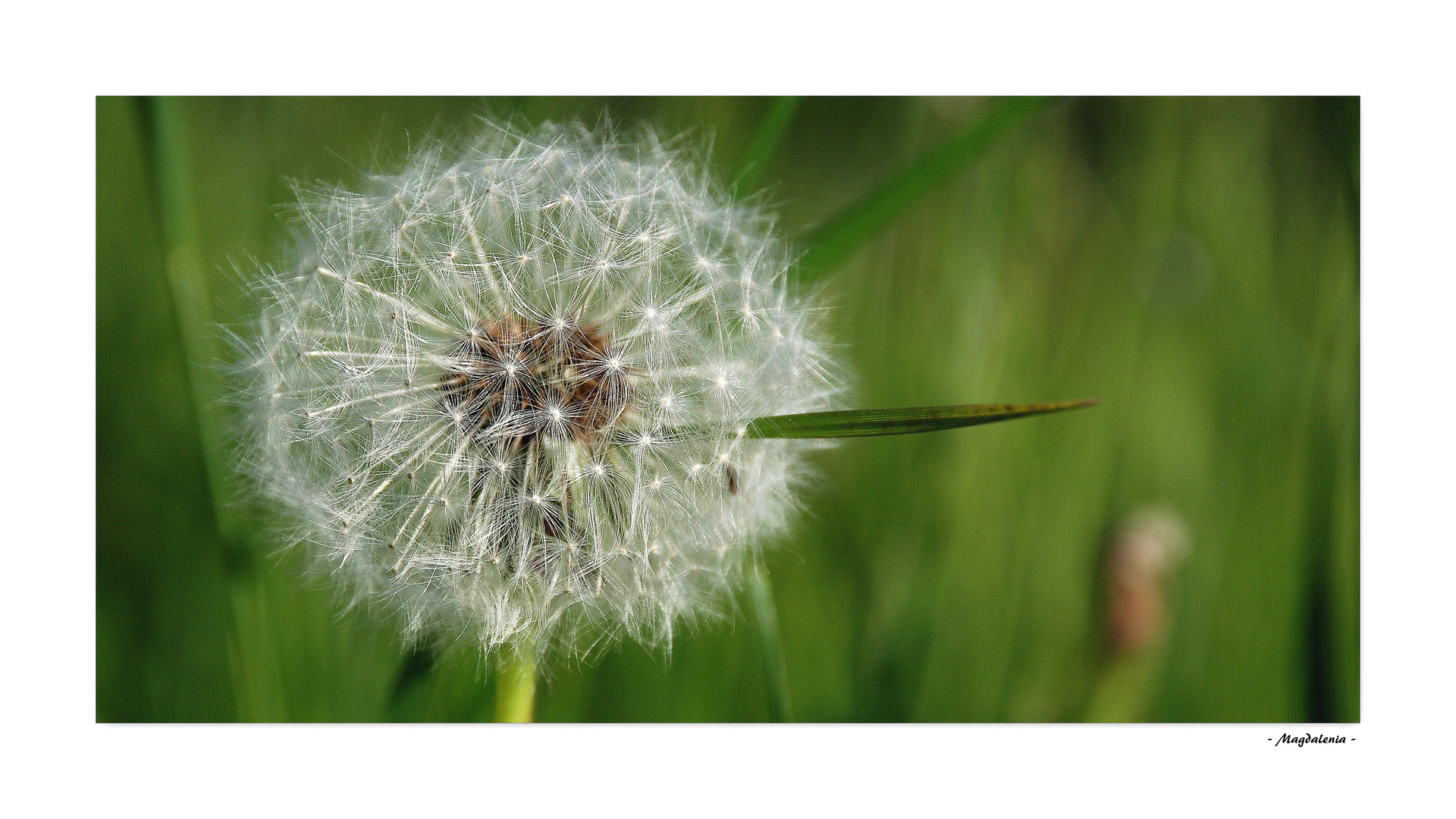 Cristal flower