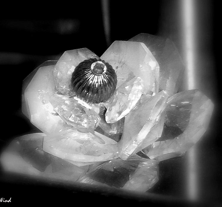 Cristal Flower