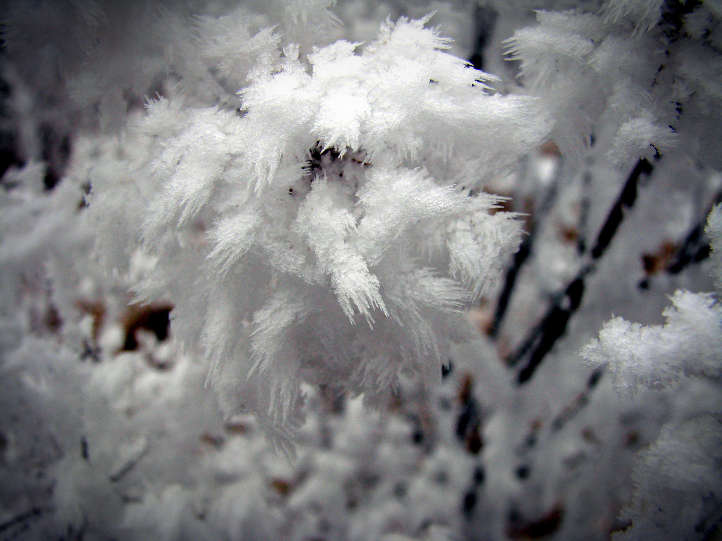 Cristaux de glace