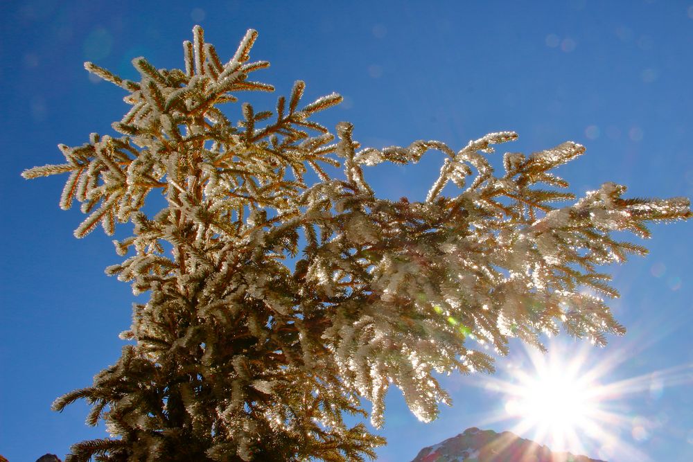 Cristaux de glace