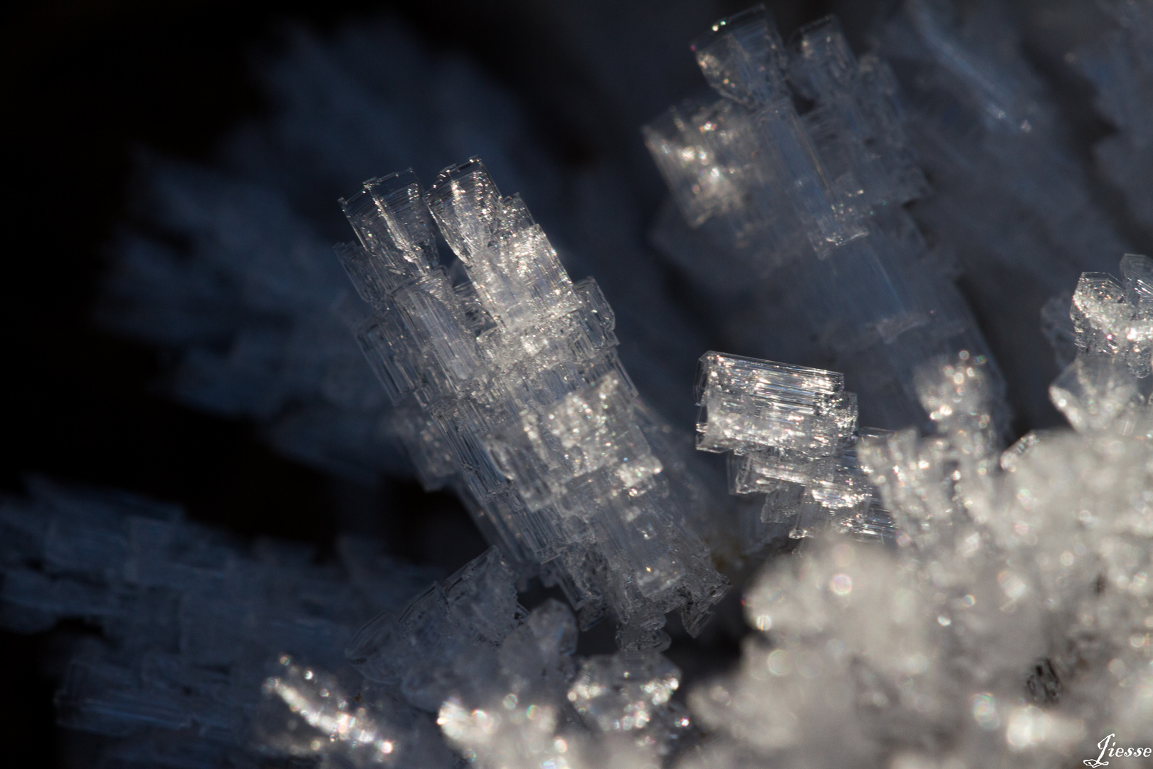 cristaux de glace 4 photo et image nature, macro Images cristaux de glace 4 photo et image nature, macro Images