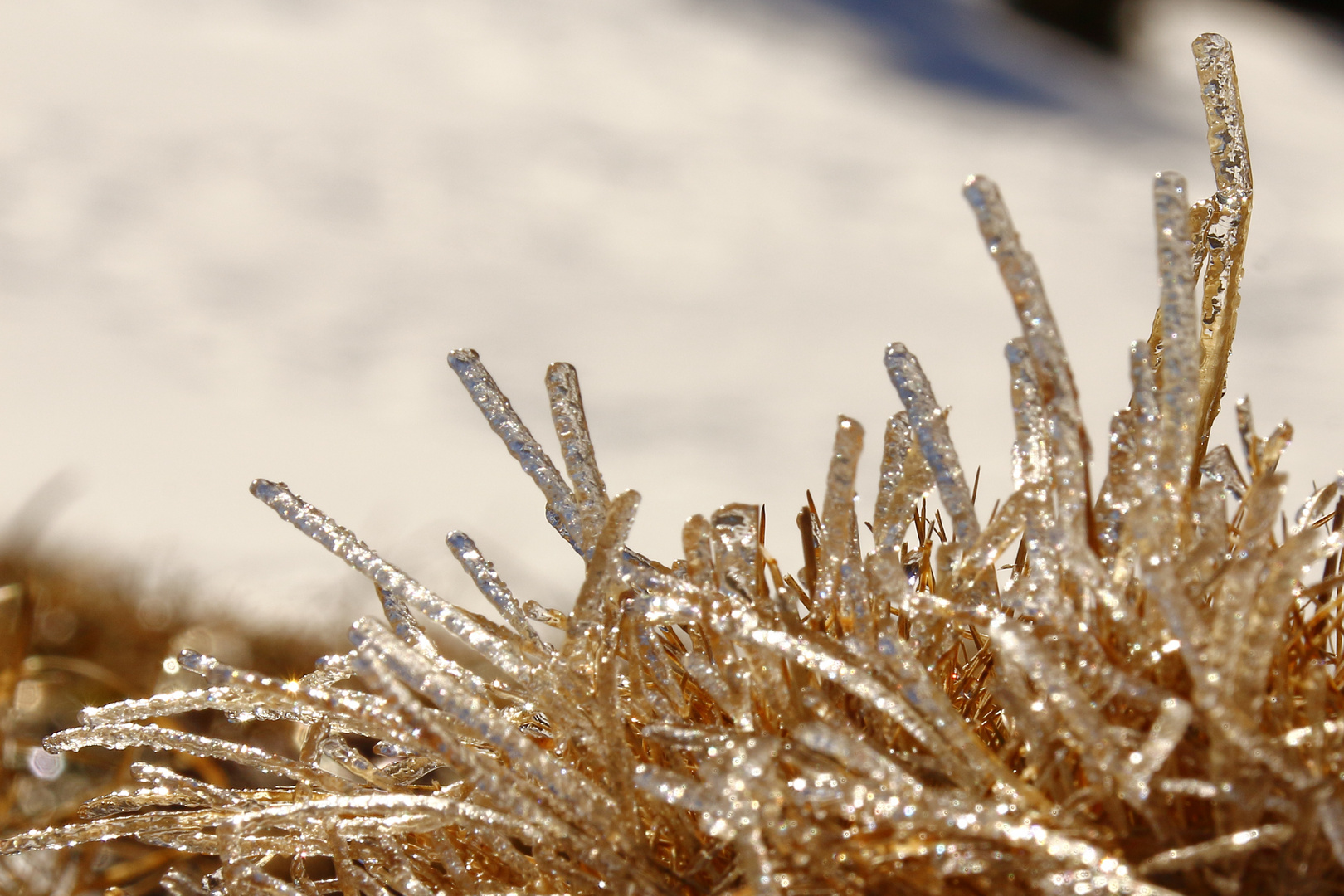 Cristaux de glace