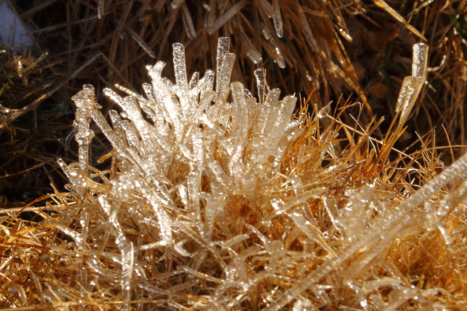 Cristaux de glace