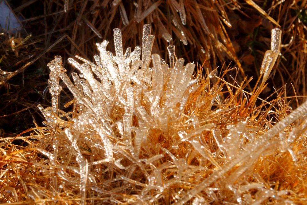 Cristaux de glace