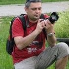 User Profile Photo