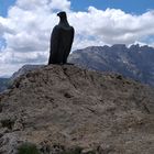 Cristomannos Denkmal am Hirzelsteig Südtirol