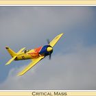 Critical Mass (Modellflugzeug)