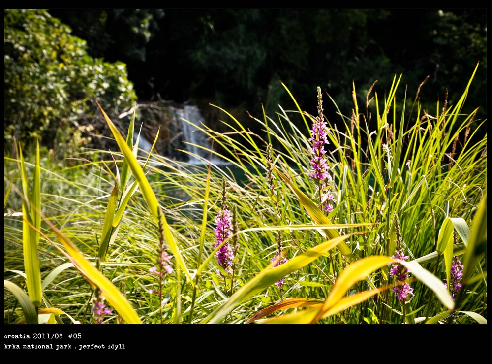 croatia 2011/08 . krka nationalpark . perfect idyll