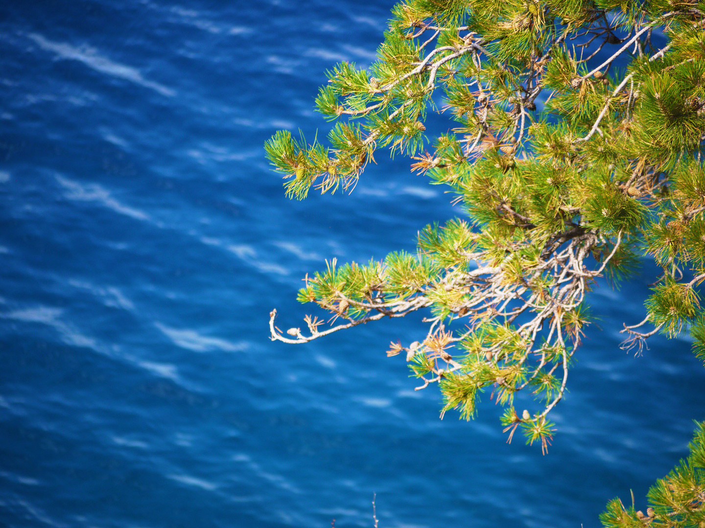 Croatia, Krk, Vrbnik