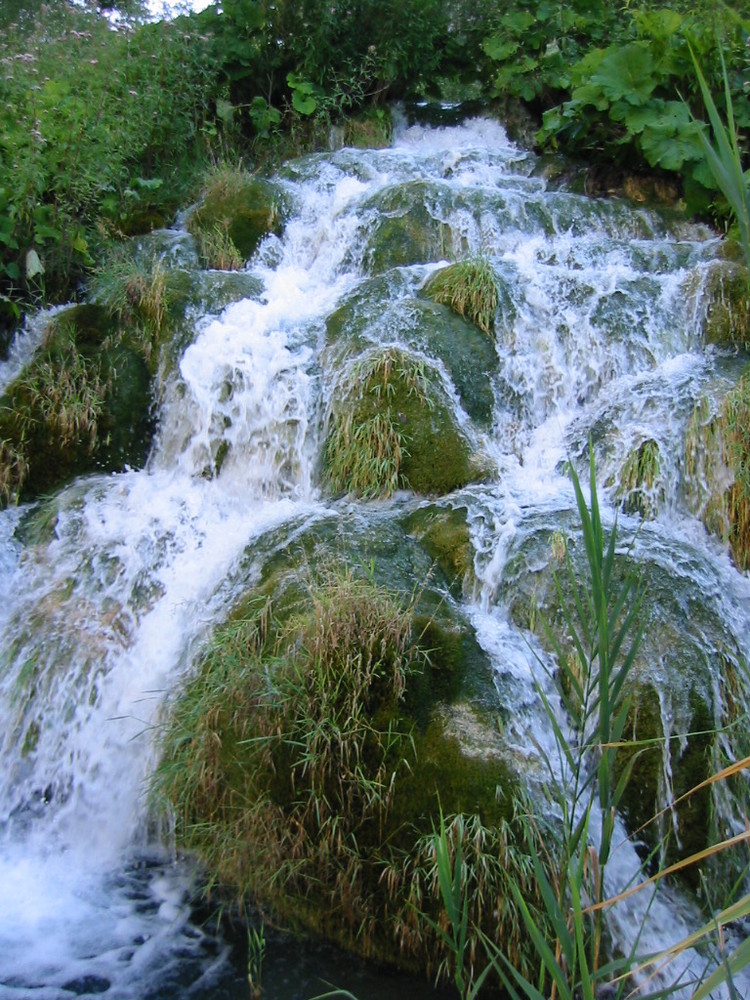 Croatie Lac de plitvice1