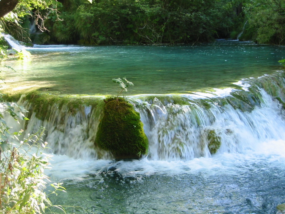 Croatie Lac de Plitvice3