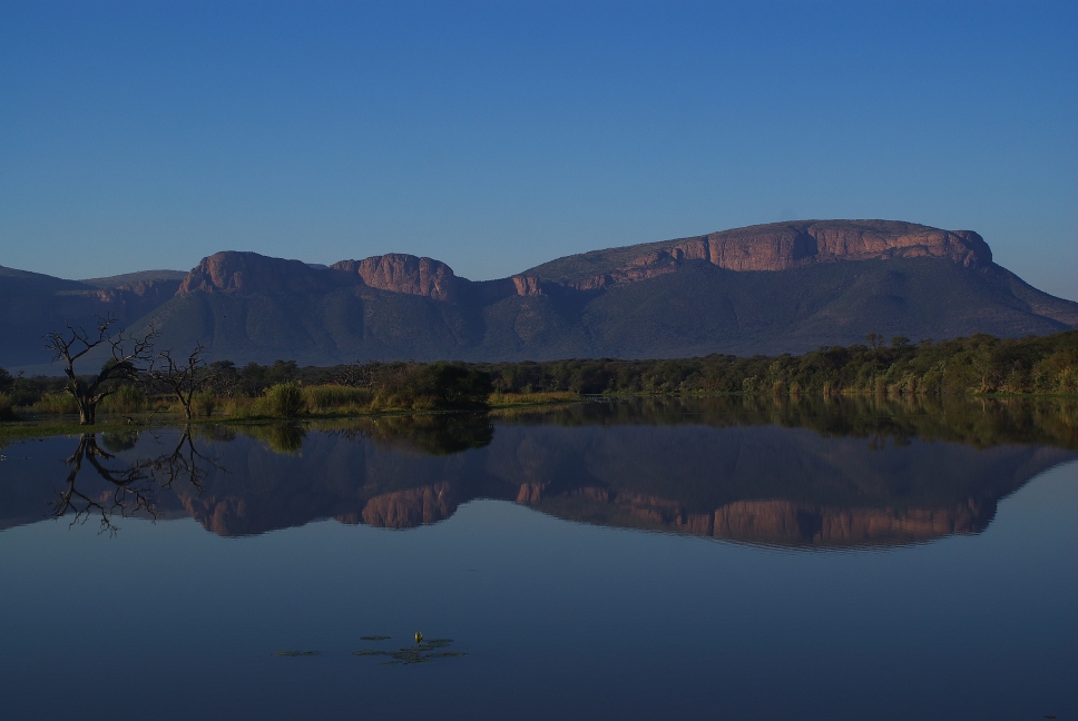 Crocodil mountain