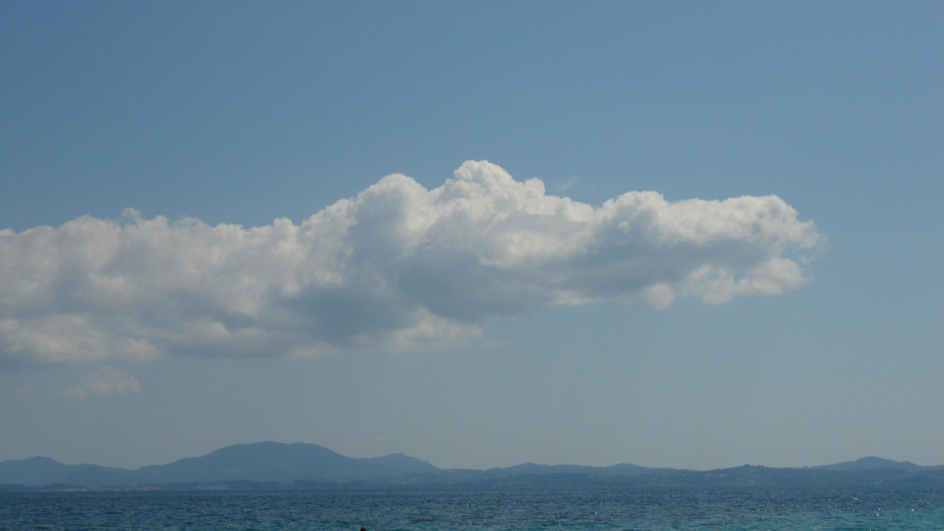 Crocodile Cloud