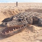 Crocodile (en sable) sur la plage de Vilamoura (Portugal)