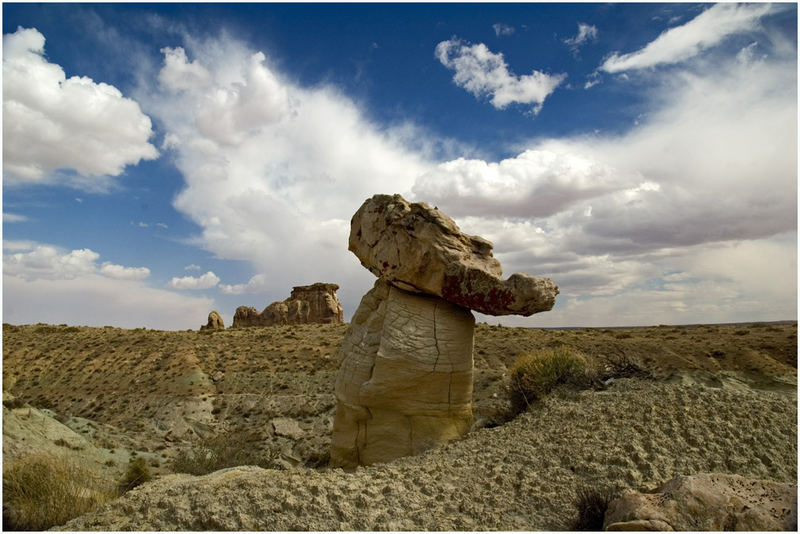 Crocodile head hoodoo