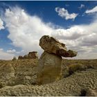 Crocodile head hoodoo