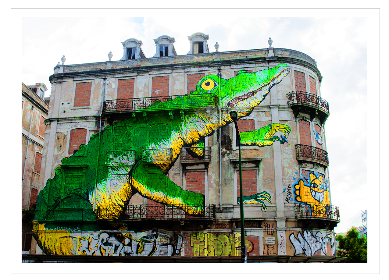 Crocodile in Lisboa