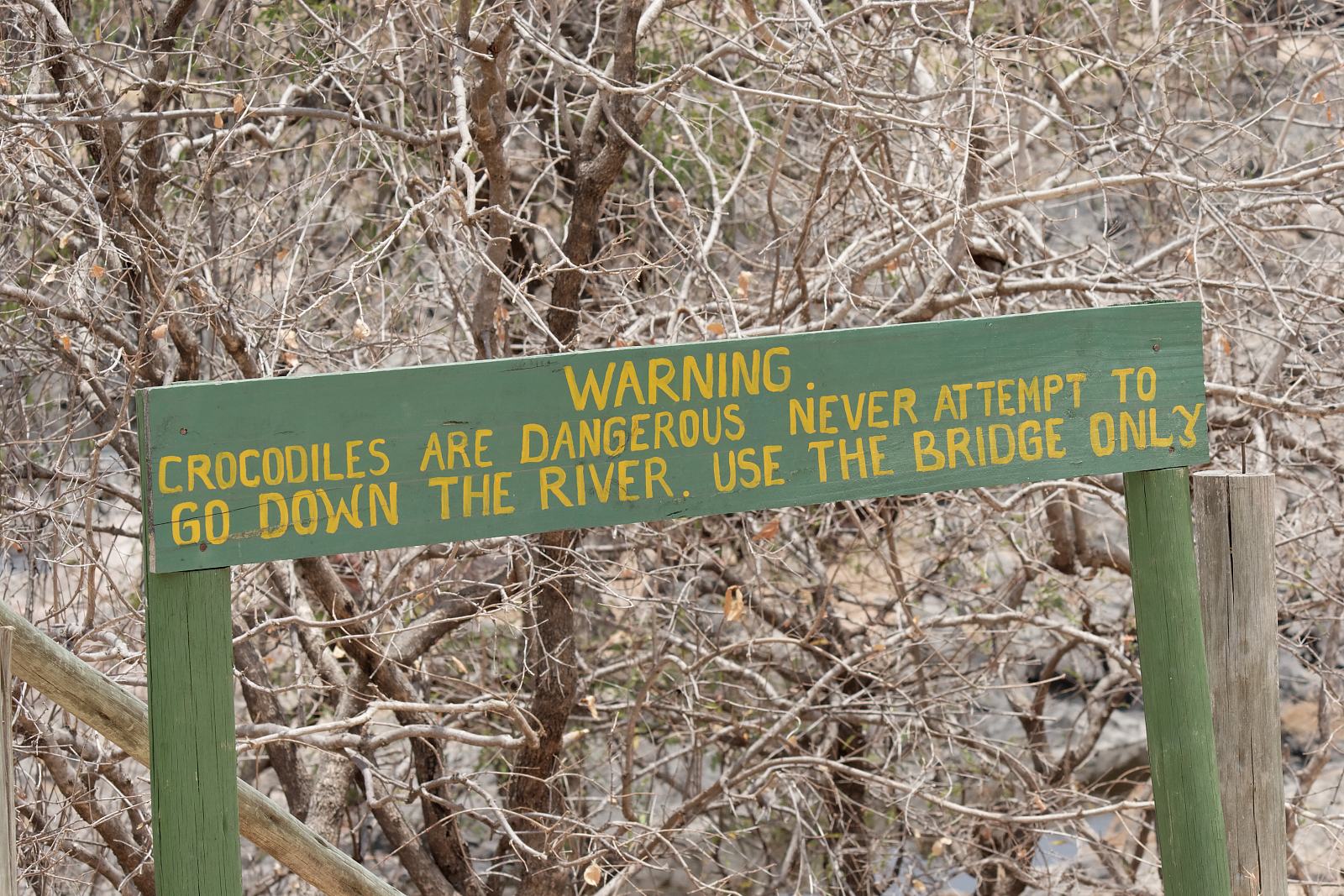 Crocodiles are dangerous