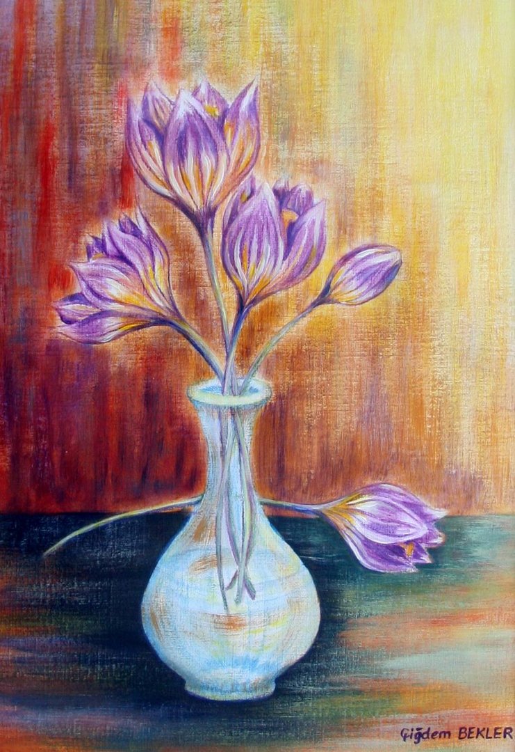 Crocus (Cigdem)