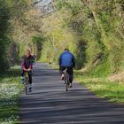 Croisement écologique sur la voie verte